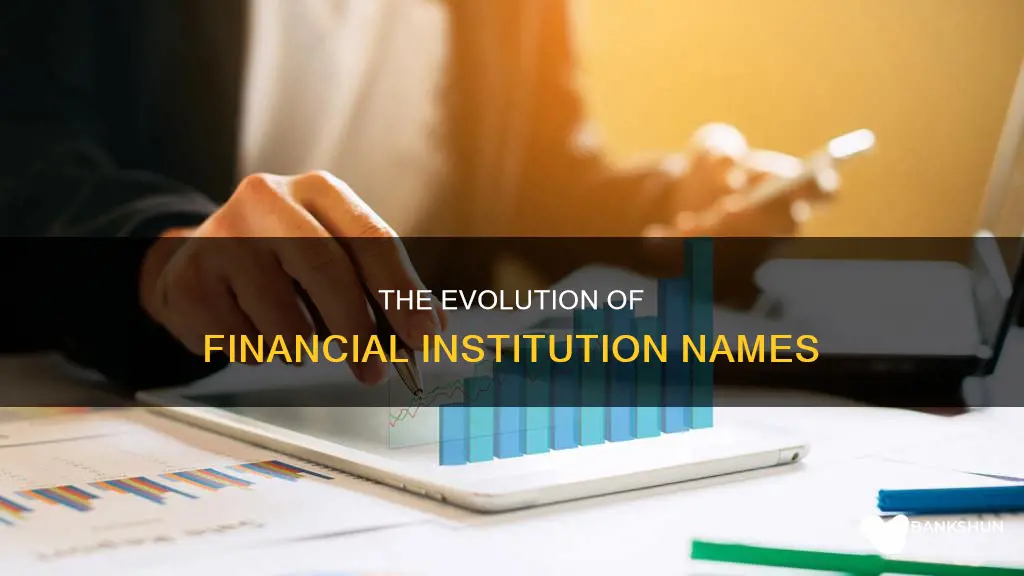 what is the name of financial institution