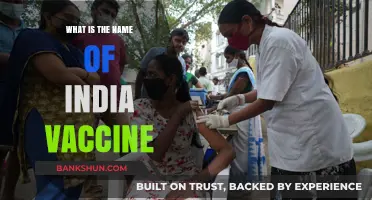 India's COVID-19 Vaccine: Covishield, Covaxin, and Beyond Explained