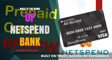 Netspend: A Bank by Any Other Name
