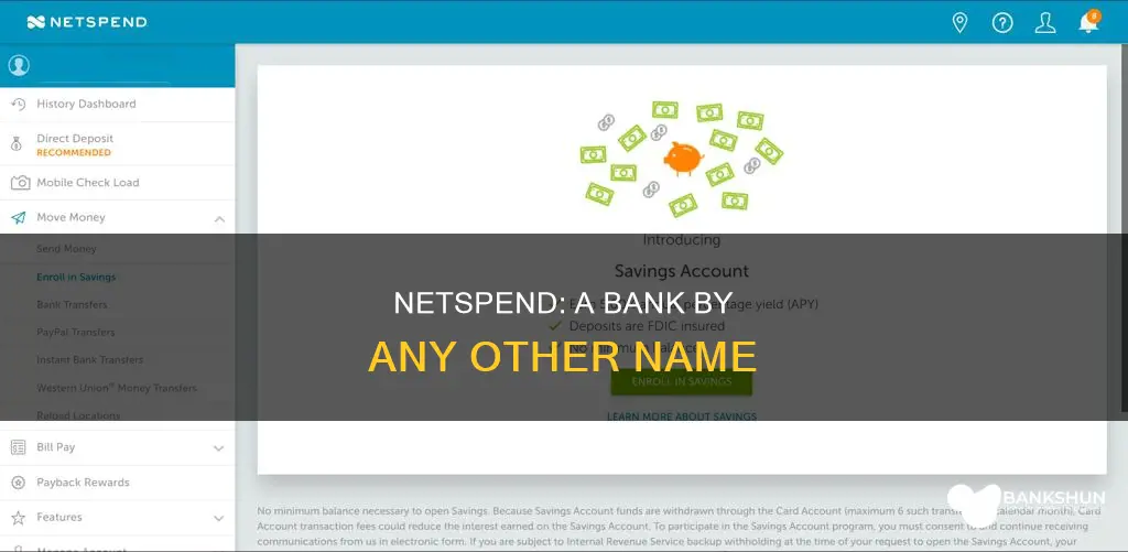 what is the name of netspend bank