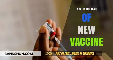 Discovering the Name of the Latest Vaccine: A Comprehensive Guide