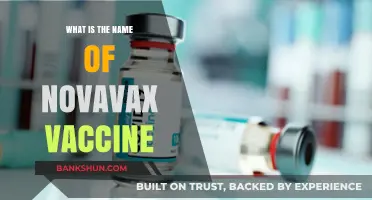 Understanding Novavax: The Name and Science Behind Its COVID-19 Vaccine