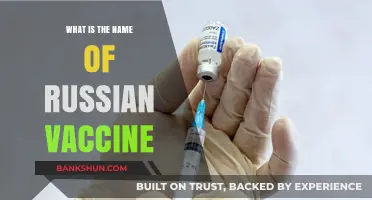 Russia's COVID-19 Vaccine: Unveiling the Name and Its Significance
