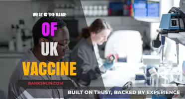 Unveiling the UK's COVID-19 Vaccine: Names, Types, and Key Details