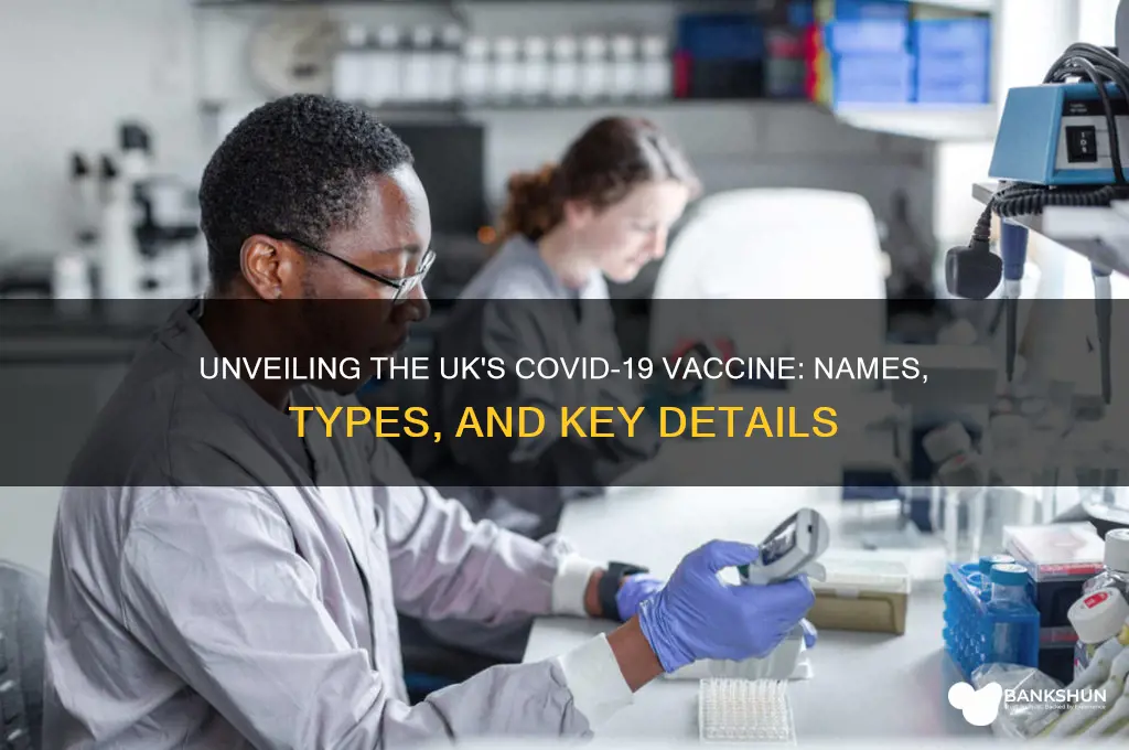 what is the name of uk vaccine