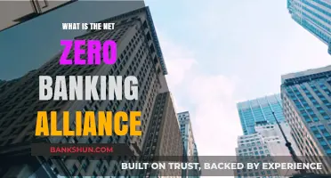 Net-Zero Banking Alliance: Banks' Climate Commitment