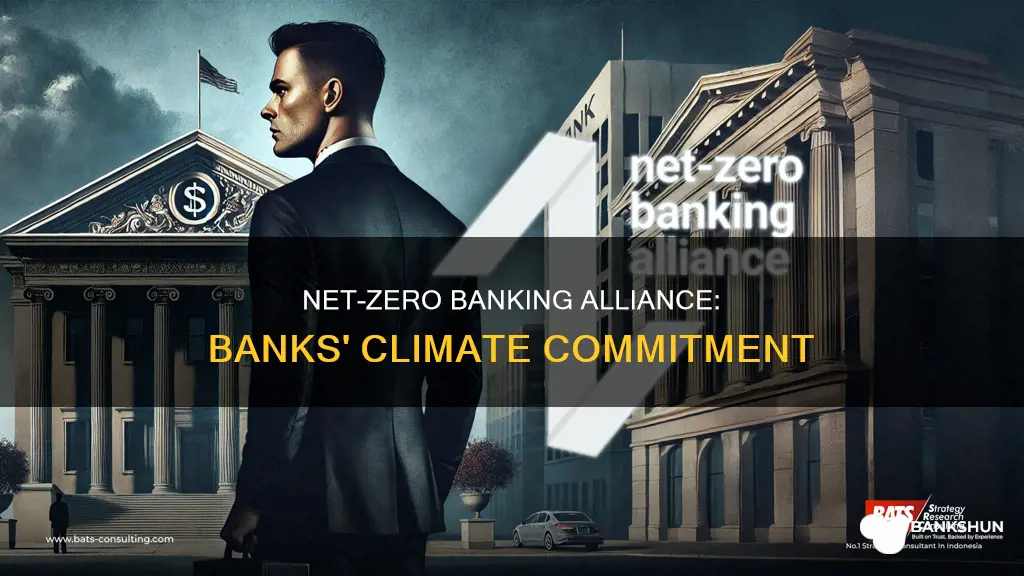 what is the net zero banking alliance