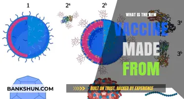 Unveiling the Composition: What’s Inside the New Vaccine?