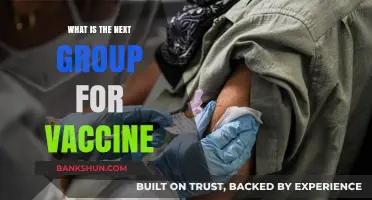 Who's Next in Line? Prioritizing the Next Vaccine Group