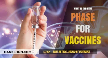 The Future of Vaccines: Innovations, Challenges, and Global Health Impact