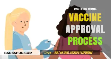 Understanding the Standard Vaccine Approval Process: A Comprehensive Guide