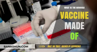 Understanding Novavax: Ingredients and Composition of the COVID-19 Vaccine