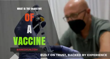 Understanding Vaccines: Their Purpose and Role in Preventing Diseases