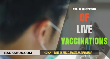 Exploring Inactivated Vaccines: The Opposite of Live Immunizations
