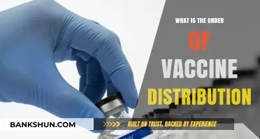 Understanding the Priority: How COVID-19 Vaccines Are Distributed Globally