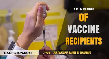 Vaccine Rollout Priorities: Who Gets the Shot First and Why?
