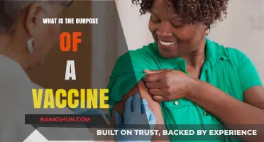 Understanding Vaccines: Their Purpose, Benefits, and Role in Public Health