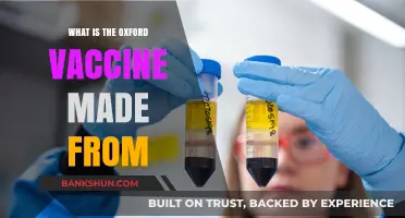 Understanding the Oxford Vaccine: Key Components and Manufacturing Process