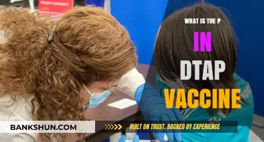 Understanding the P in DTaP Vaccine: Purpose, Protection, and Importance