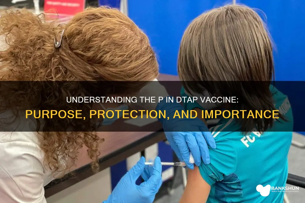 what is the p in dtap vaccine