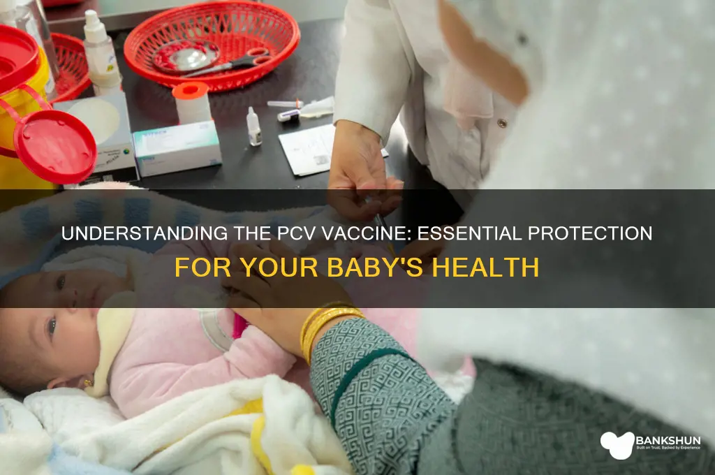 what is the pcv vaccine for babies