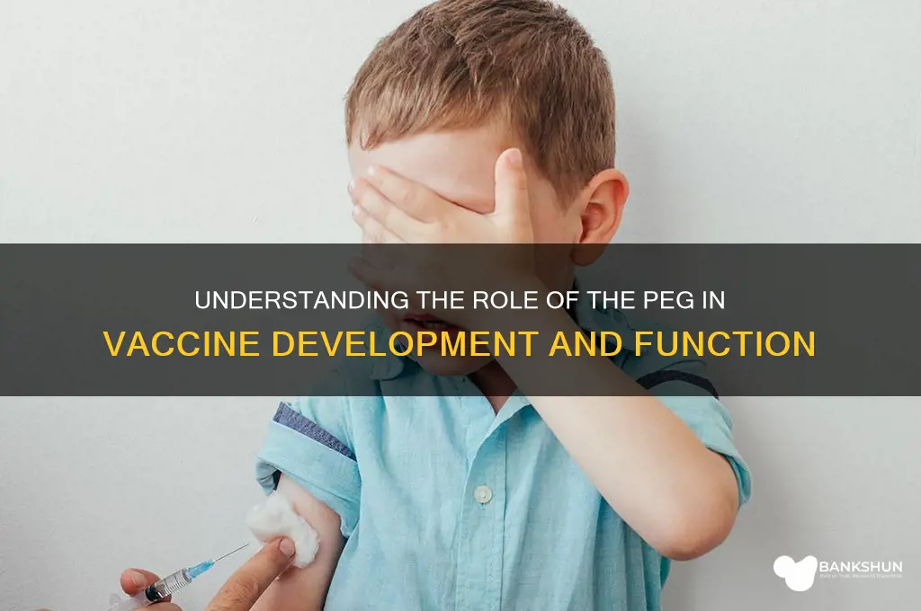 what is the peg in the vaccine