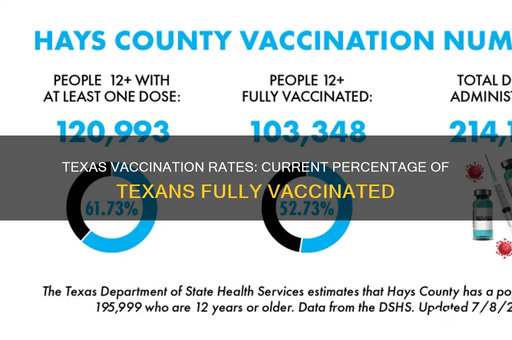 what is the percentage of texans vaccinated