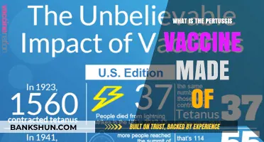 Understanding Pertussis Vaccine: Ingredients, Composition, and How It Works