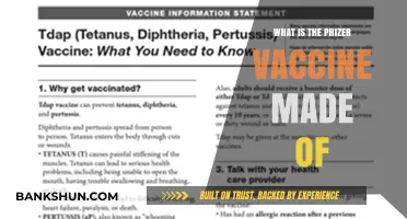 Understanding Pfizer's COVID-19 Vaccine: Ingredients and Composition Explained