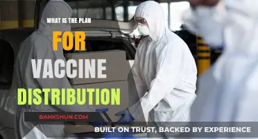 Global Vaccine Rollout: Strategies for Fair and Efficient Distribution