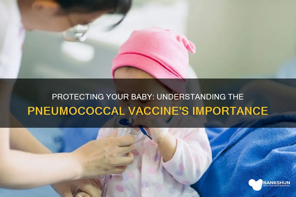 what is the pneumococcal vaccine for babies