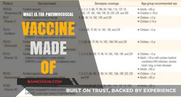 Understanding the Pneumococcal Vaccine: Ingredients and Composition Explained