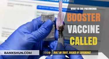 Understanding the Pneumonia Booster Vaccine: What Is It Called?