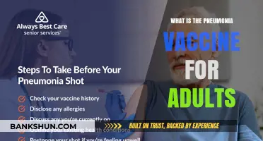 Understanding the Pneumonia Vaccine: Essential Protection for Adults Explained