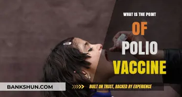 Understanding the Polio Vaccine: Purpose, Prevention, and Global Impact