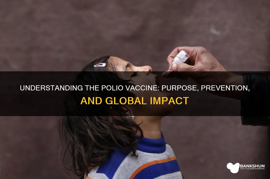 what is the point of polio vaccine