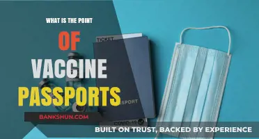Understanding Vaccine Passports: Purpose, Benefits, and Global Implications