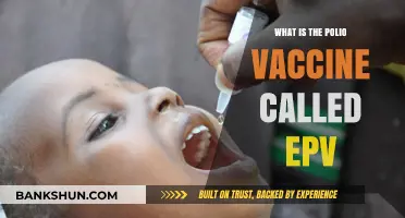 Understanding the Polio Vaccine: What is EPV and How Does It Work?