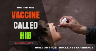 Understanding the Polio and Hib Vaccines: Names, Differences, and Importance