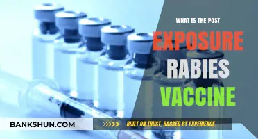 Understanding the Post-Exposure Rabies Vaccine: A Lifesaving Treatment Explained