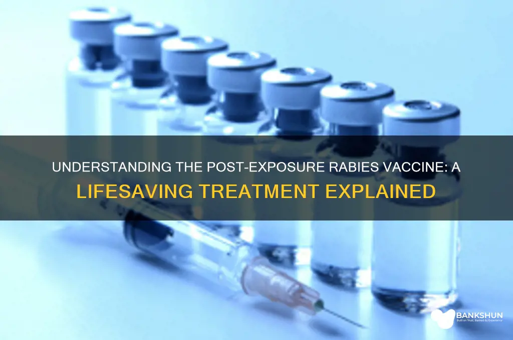 what is the post exposure rabies vaccine