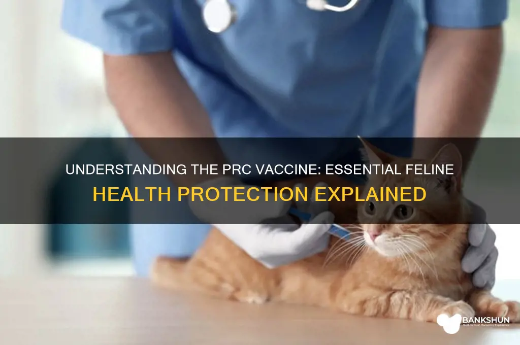 what is the prc vaccine for cats