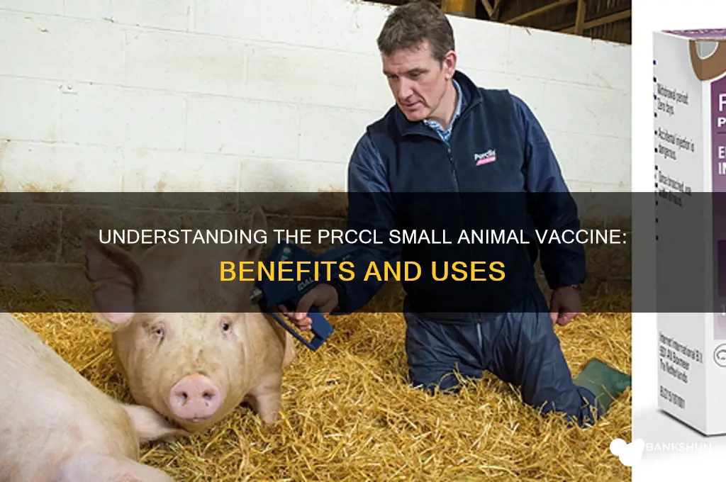 what is the prccl small animal vaccine
