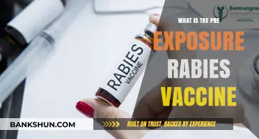 Understanding the Pre-Exposure Rabies Vaccine: A Lifesaving Preventive Measure