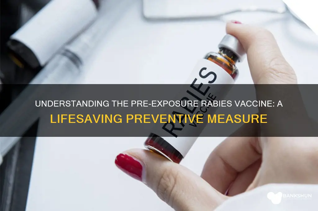 what is the pre exposure rabies vaccine