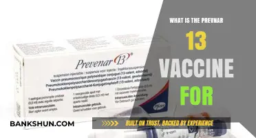 Understanding Prevnar 13: Protecting Against Pneumococcal Infections and Diseases