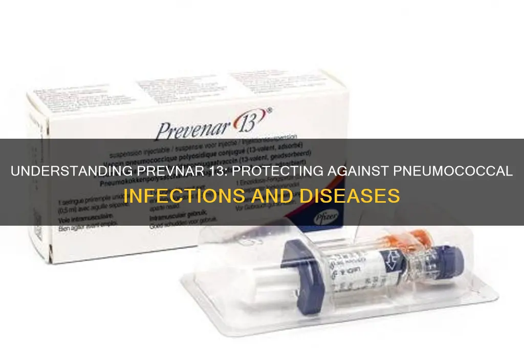 what is the prevnar 13 vaccine for
