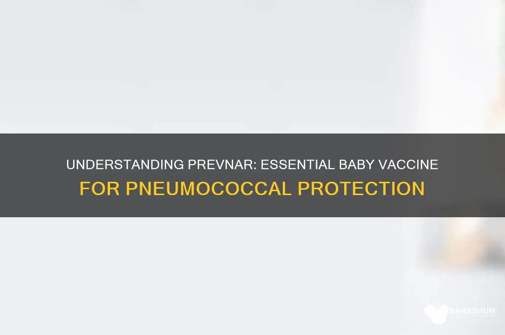 what is the prevnar vaccine for babies