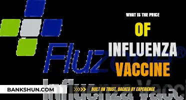 Understanding the Cost of Influenza Vaccines: What You Need to Know