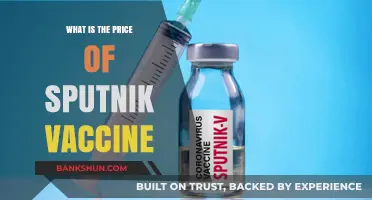 Sputnik V Vaccine Cost: Global Pricing and Accessibility Explained